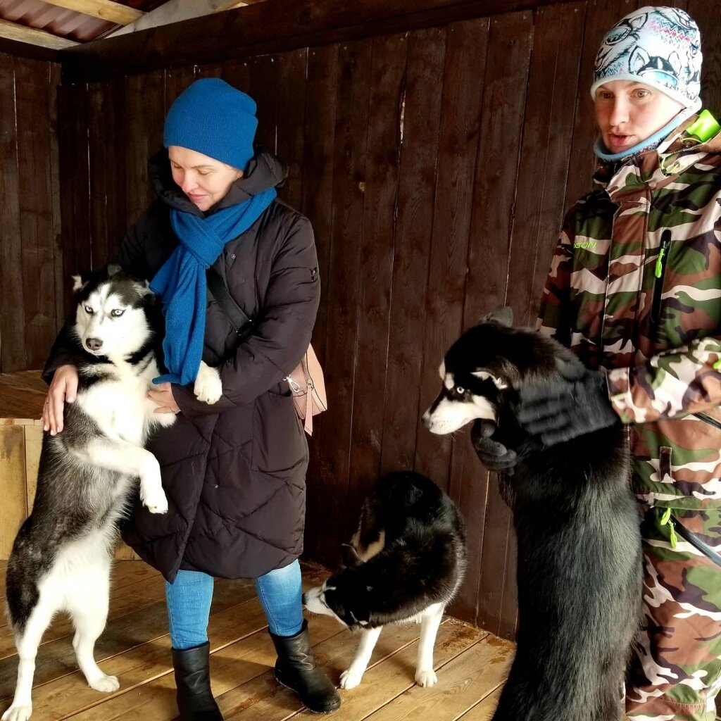 Питомник времена года в первомайском. Сибирская Легенда питомник хаски. Питомник Сибирская Легенда горный Алтай. Сибирская Легенда Камлак. Сибирская Легенда питомник хаски и северных оленей.