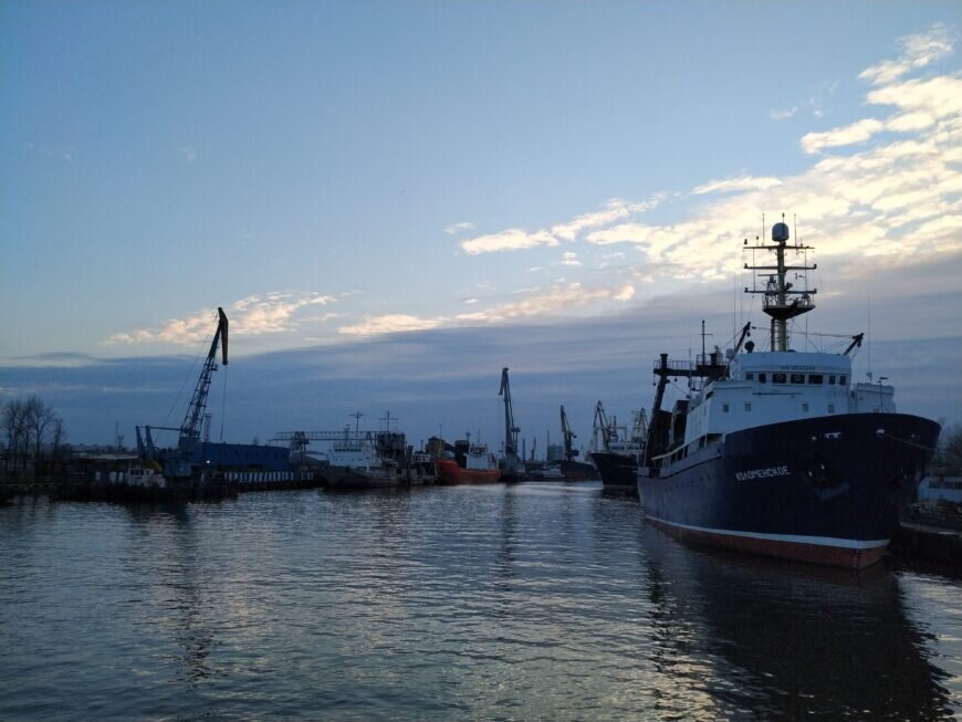 Морские профессии популярны в Калининграде. Ходить в море - верный способ хорошо зарабатывать и конкурс в БГАРФ велик