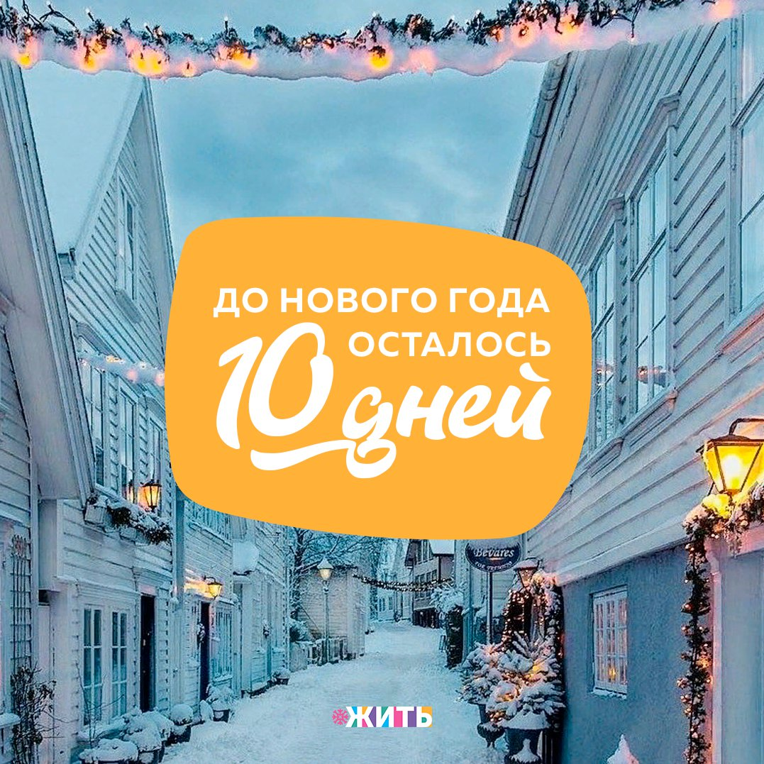 До Нового Года осталось 10 дней | ЖИТЬ | Дзен