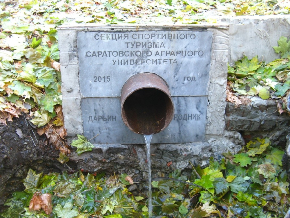 Саратовский родник. Дарьин Родник Кумысная Поляна Саратов. Кумысная Поляна Саратов Родник. Родник Андреевский Саратов. Родники Кумысной Поляны Саратов.