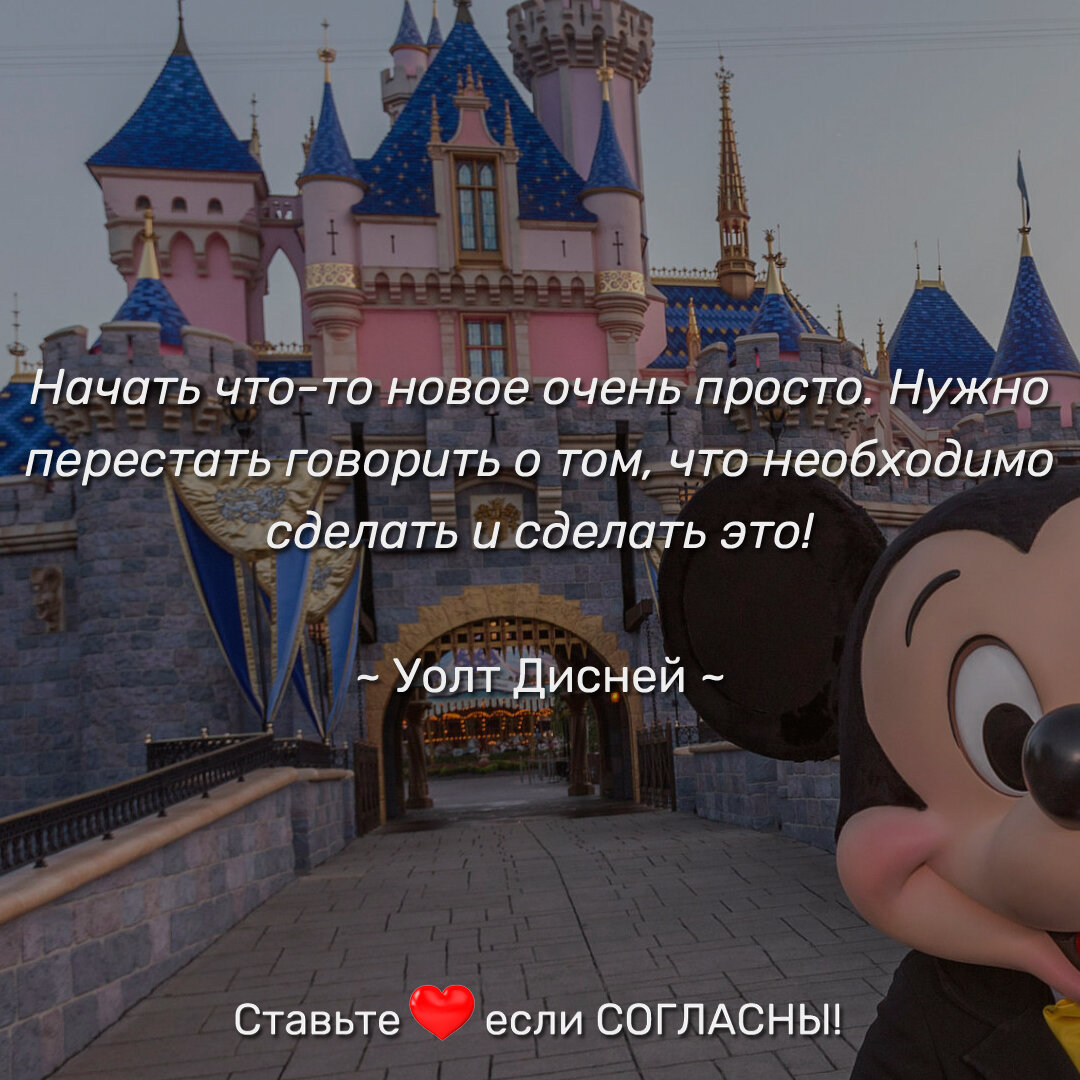 Цитата Уолта Диснея