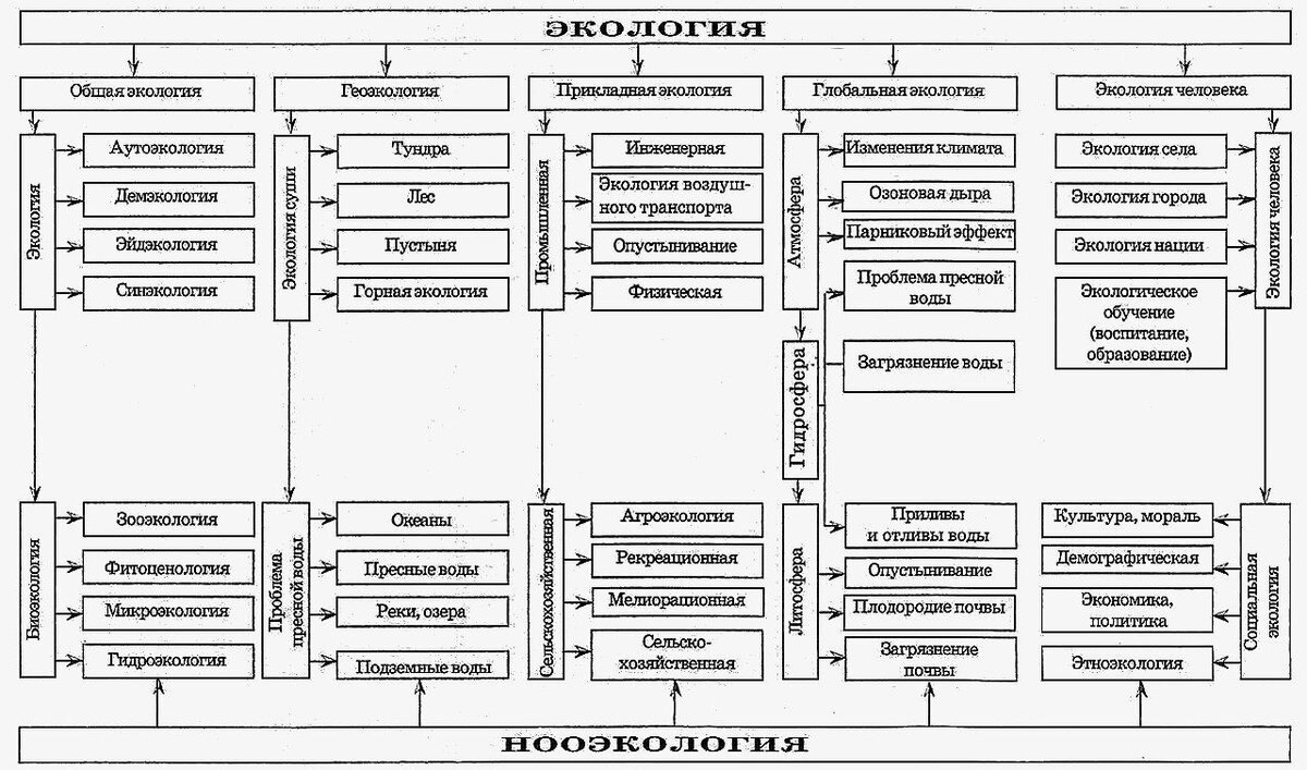 ПОЧЕМУ МЫ НЕ МОЖЕМ СПАСТИ ЭКОЛОГИЮ? | Ви Советкина | Дзен