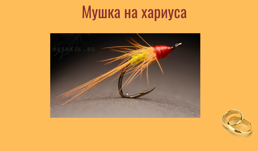 Не совсем та, но принцип видно