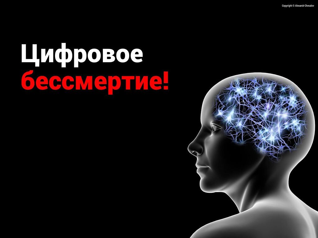 Цифровое бессмертие презентация