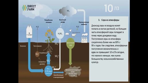 Круговорот серы и потребность культур в течение вегетации (Сельское хозяйство) 