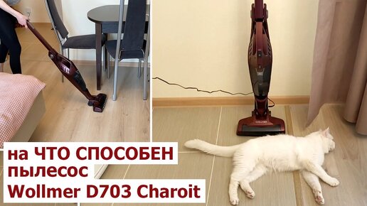 Беспроводной пылесос Wollmer D703 Charoit. НА ЧТО ОН СПОСОБЕН?! ОБЗОР и ТЕСТ