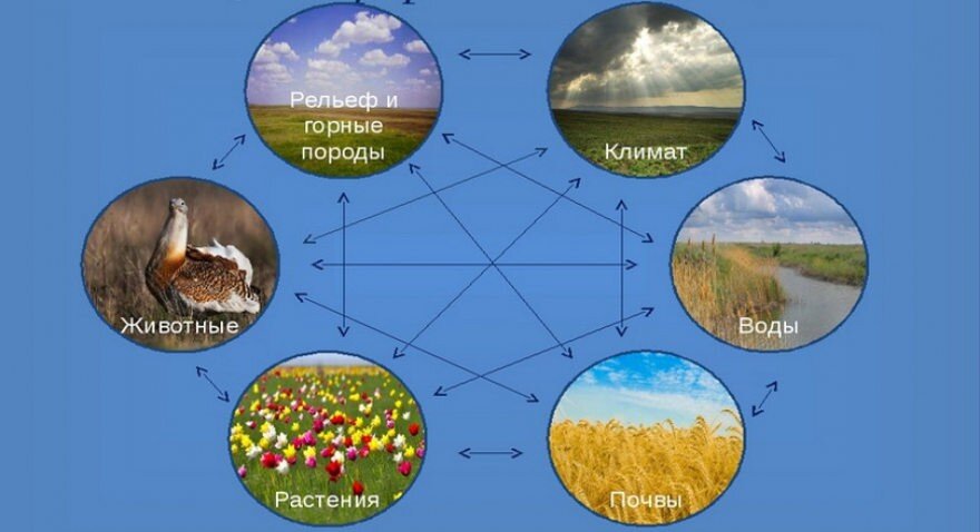 Природные компоненты природы. Схема природного комплекса морей.