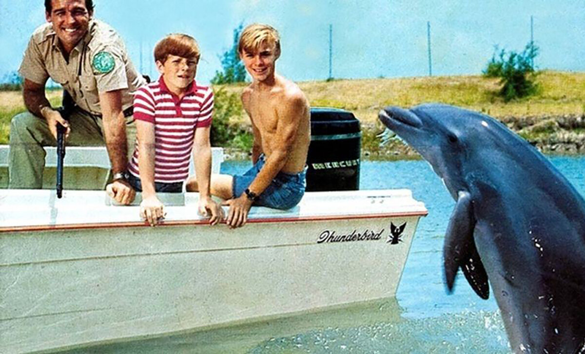 Фото с просторов интернета 