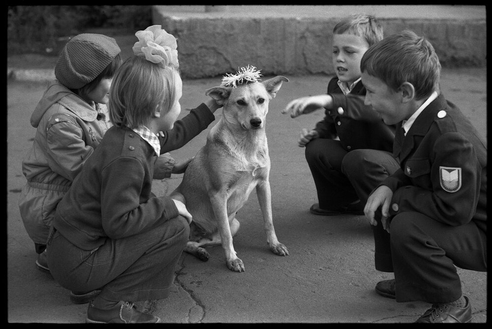 «Венок для собаки в День Знаний», 1980-е годы. Фото взято из открытых источников: russiainphoto.ru