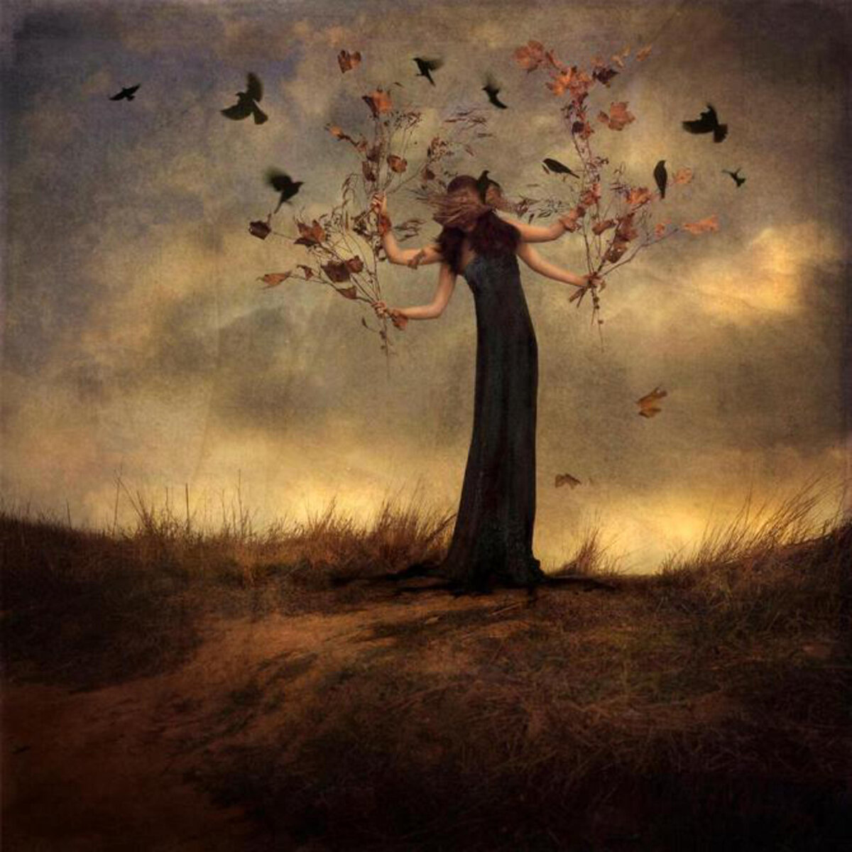 Из открытых источников