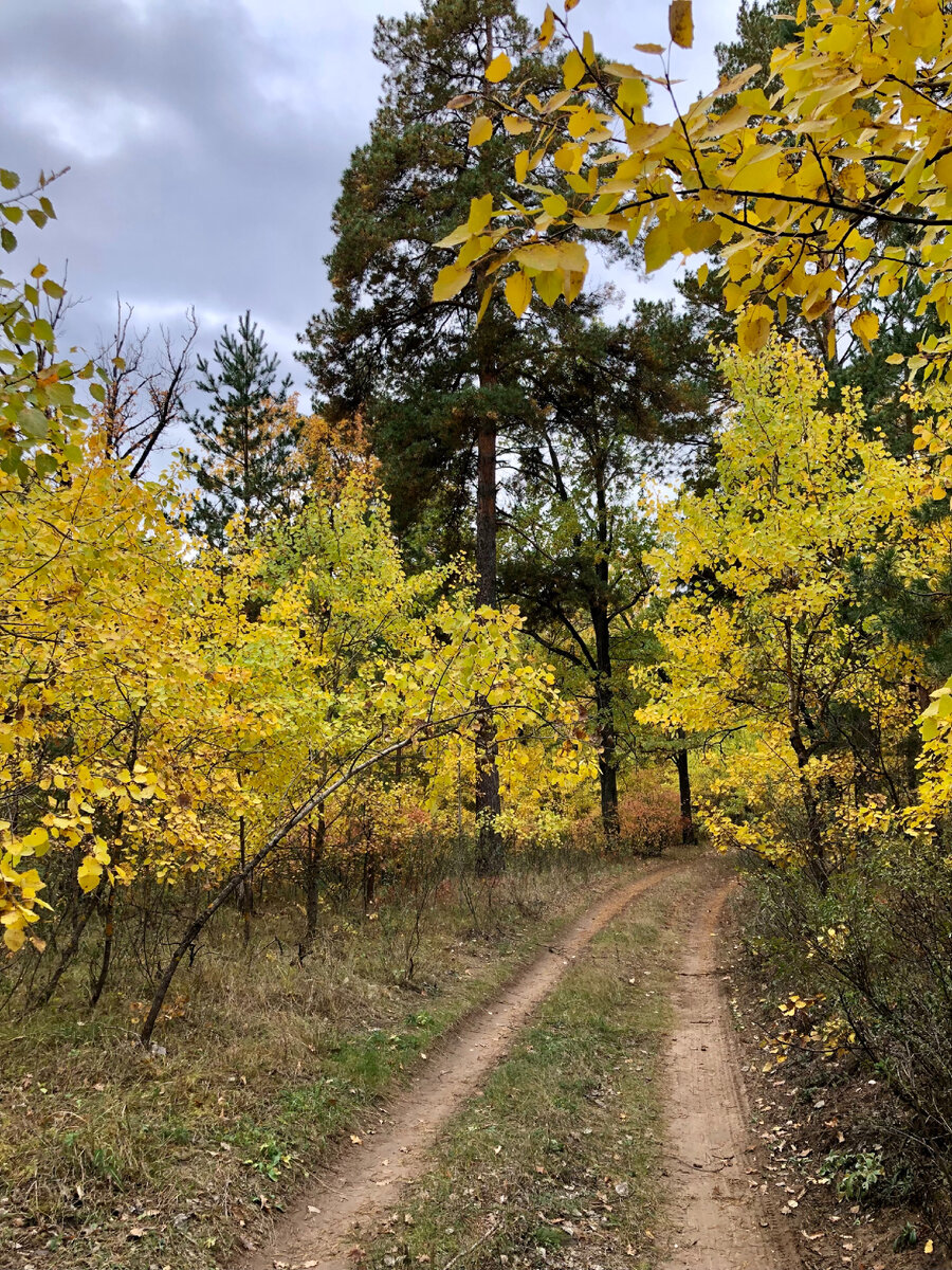 Фото из личного архива 