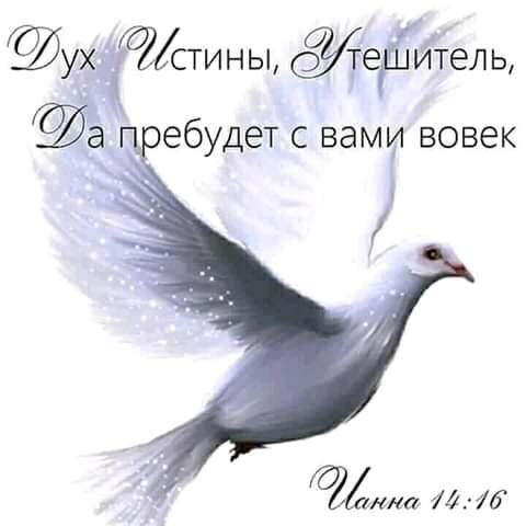 ...Светлая молитва душу утешает, 
И в утреннем рассвете -
Ведёт на Небеса,
Там Аллилуйя, в ревности -
"Звёздочка" сияет,
Что в утренней прохладе,
Царствия Христа!...