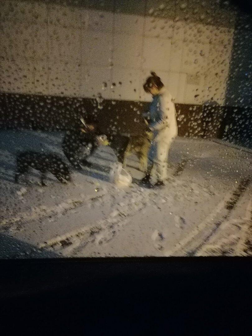 Снег