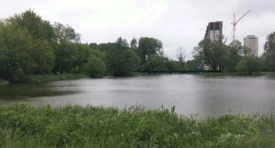 Озеро в Баулинском лесу