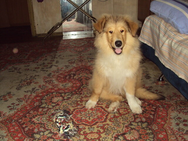 Фото автора