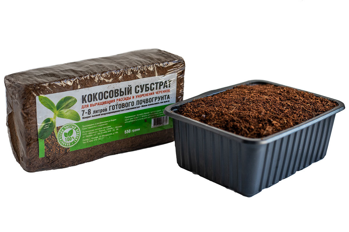 Джутовый субстрат. Микрозелень на кокосовом торфе. Микрозелень на джутовом коврике. Субстрат для микрозелени. Микрозелень на кокосовом субстрате.