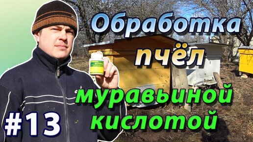 Весенняя обработка пчёл от клеща муравьиной кислотой. Препарат Муравьинка.