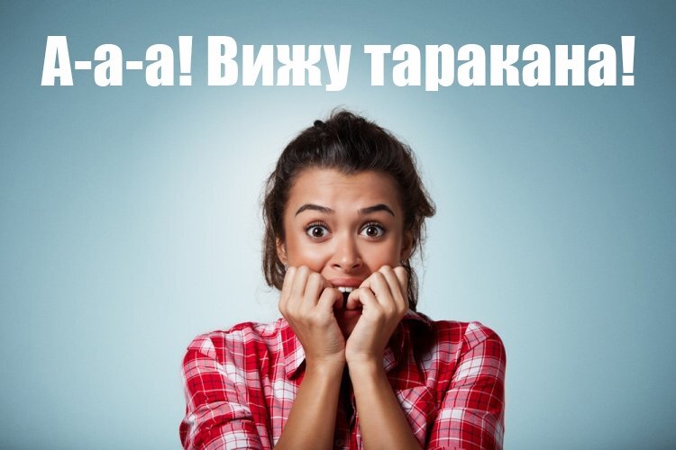 увидели таракана что делать?