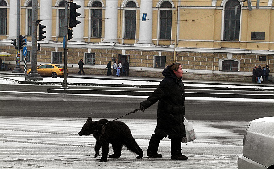 Пошли погуляем на улице