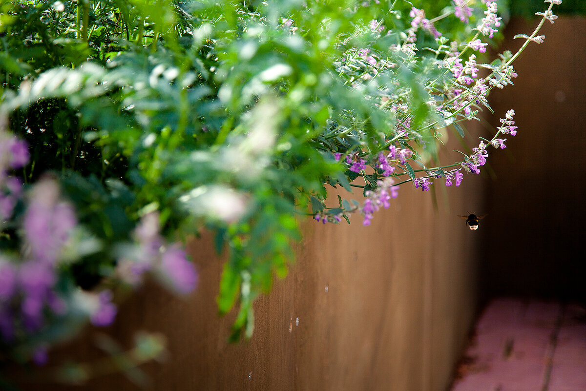 Артём Филатов, Алексей Корси. Сад им., 2019 Инсталляция в нижегородском крематории
Фотография предоставлены художниками