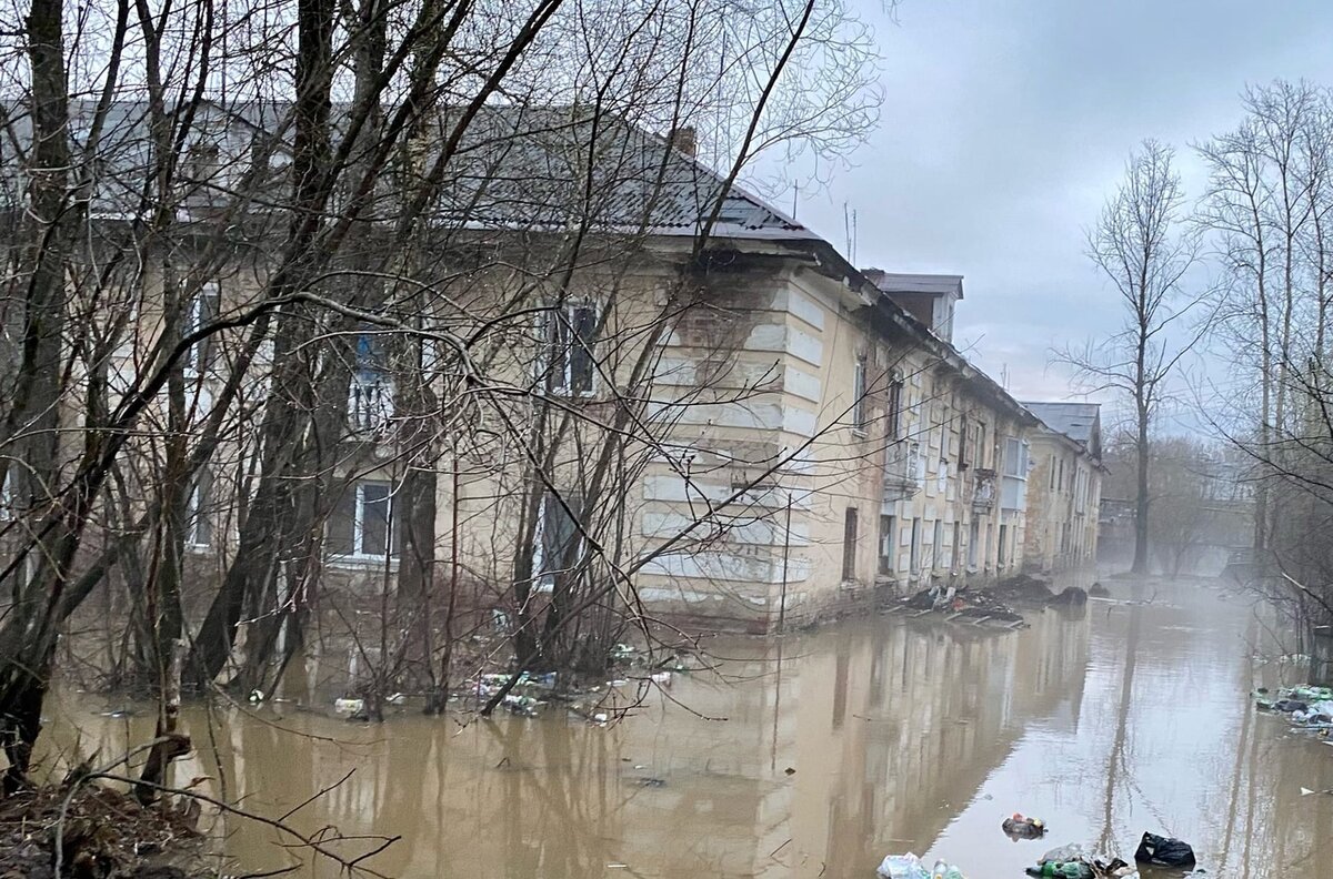 Разлив реки ишим в 2024 году. Город Александровск Пермский край. Разлив реки. Березники подтопление. Река разлив в городе.