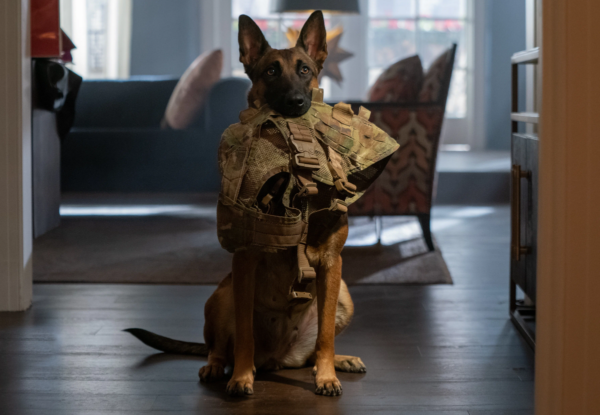 Кадр из фильма