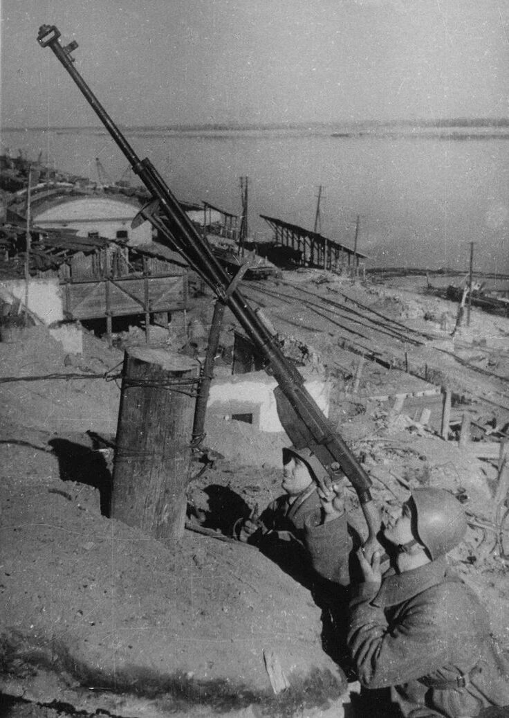 5-зарядное ПТРС Симонова для стрельбы по воздушным целям (Интернет) 