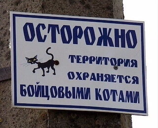 Листайте галерею, там много картинок