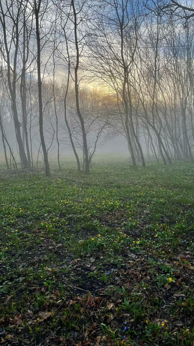 Фото Люсьены Бондаревой