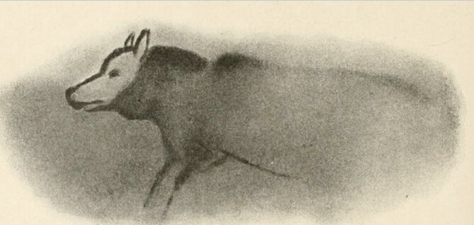 Палеолитическая собака; полихромный рисунок