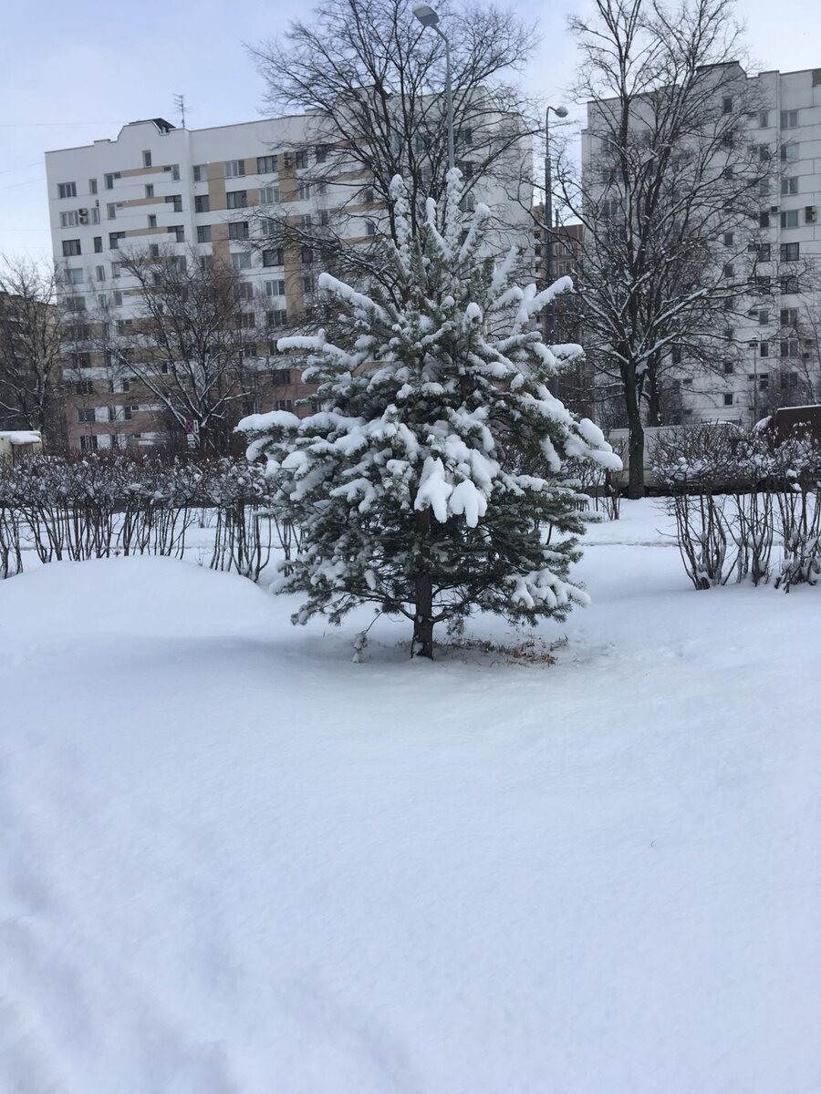 Пока я мечтаю и иду к мечте, через страхи, волнения, испытания - я живу!