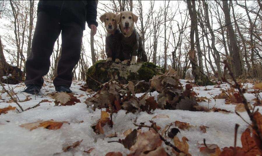 Ждут, когда же вылетит птичка