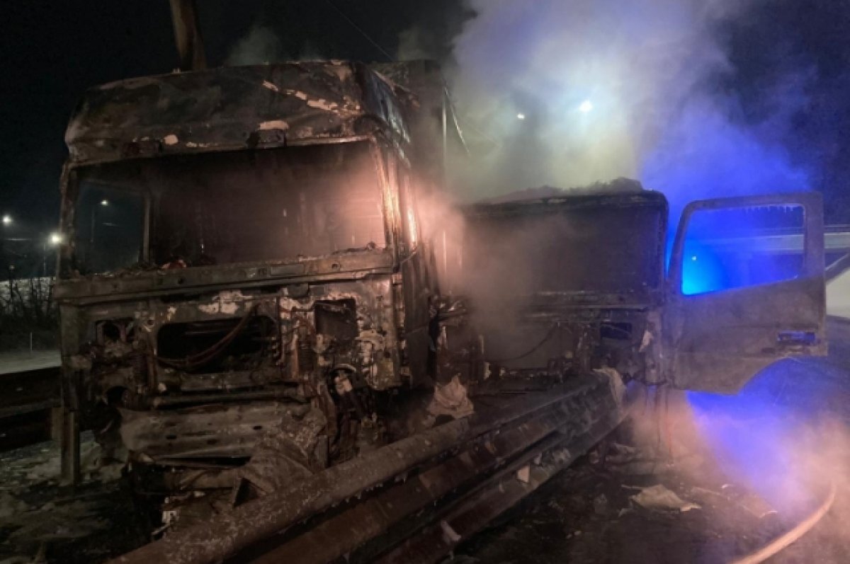    На трассе под Воронежем загорелись большегрузы: один из водителей погиб