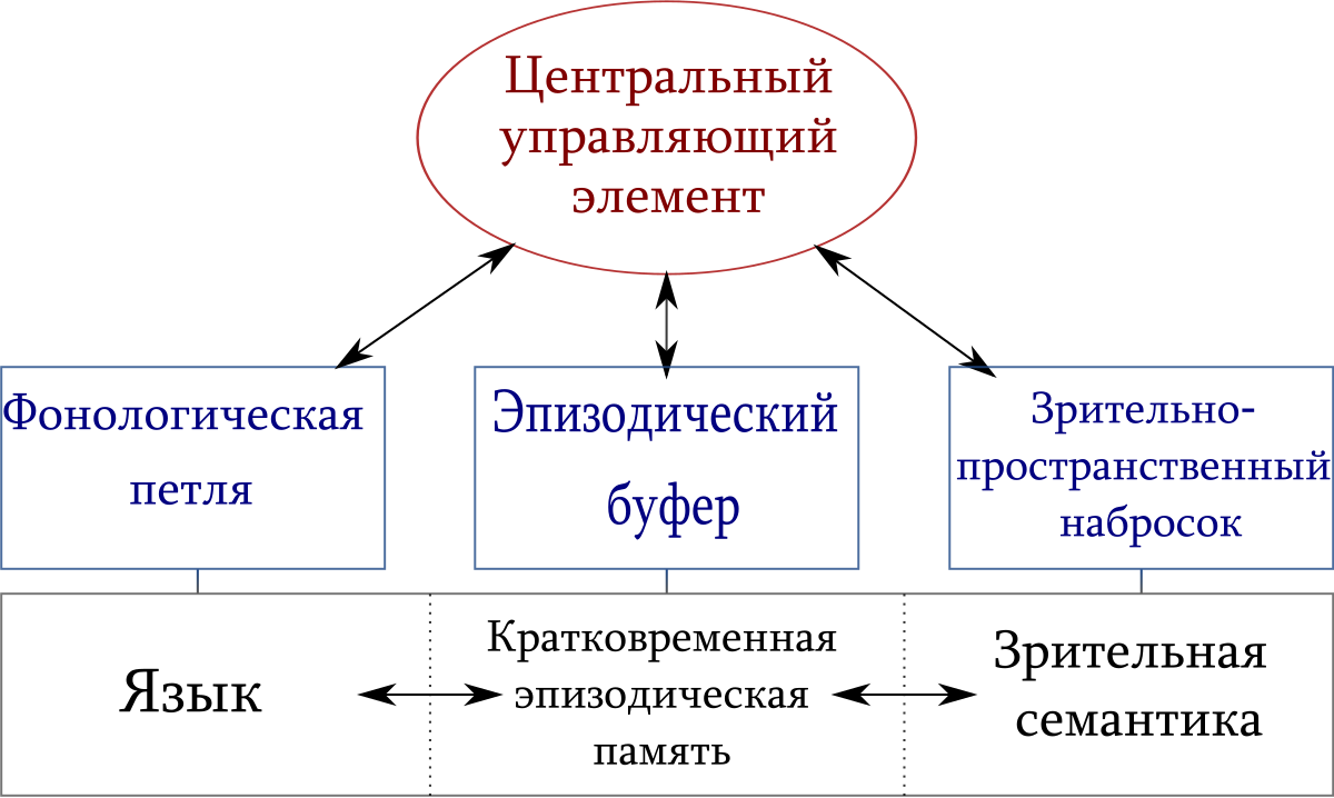 Рабочая память