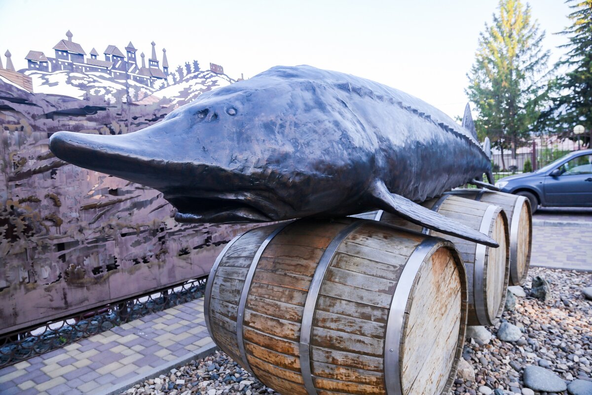  📷 📷 📷 📷 📷 📷    Музей рыболовства начался с гигантской белуги