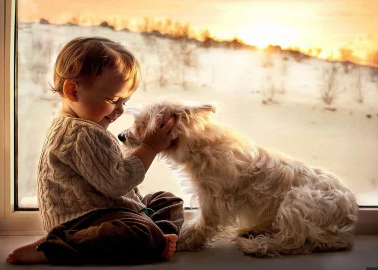 Топ-100 цитат о доброте и милосердии: добрые поступки спасут мир ...