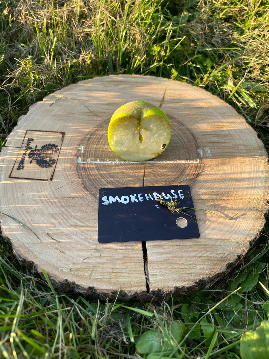 Фото 3 Сентября Ленинградская Область