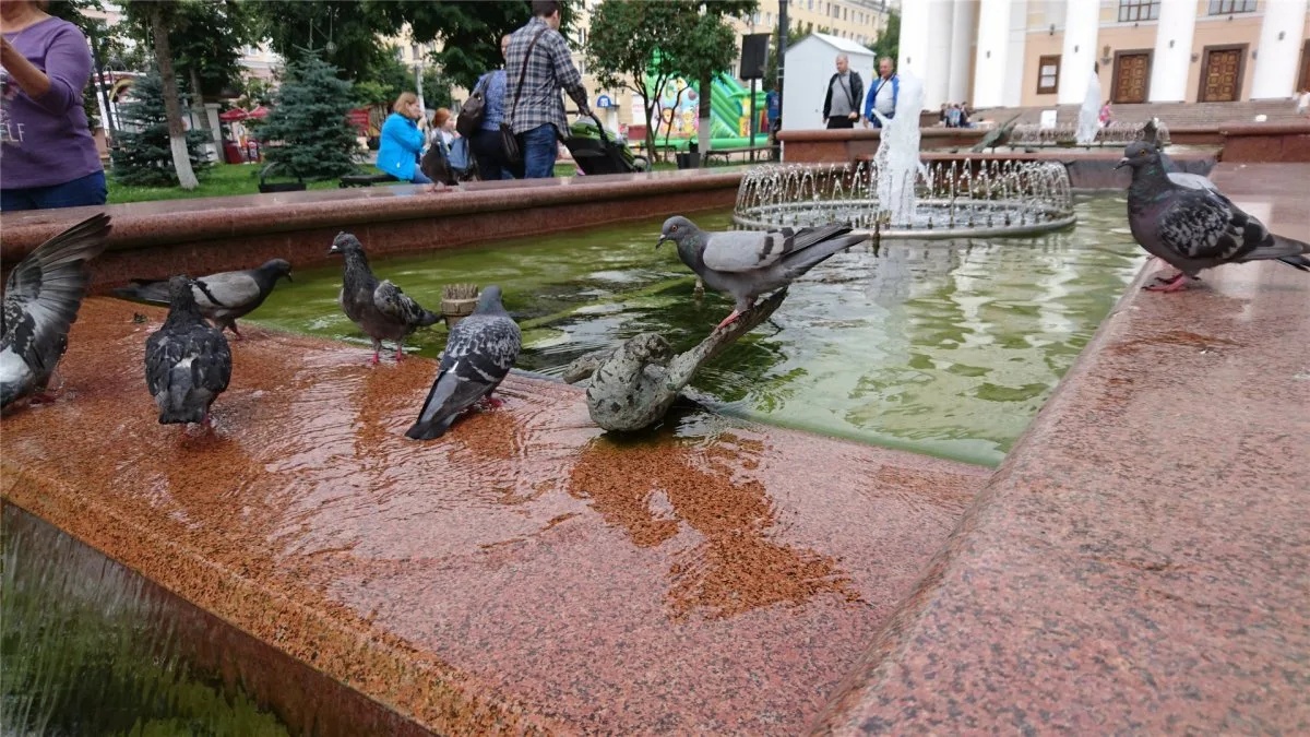 posttype.ru Фонтан на Театральной площади Калуги