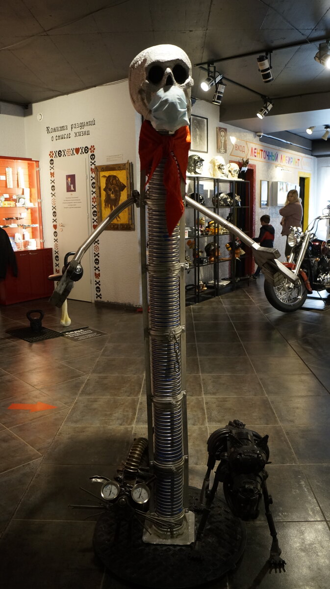 Музей черепов и скелетов