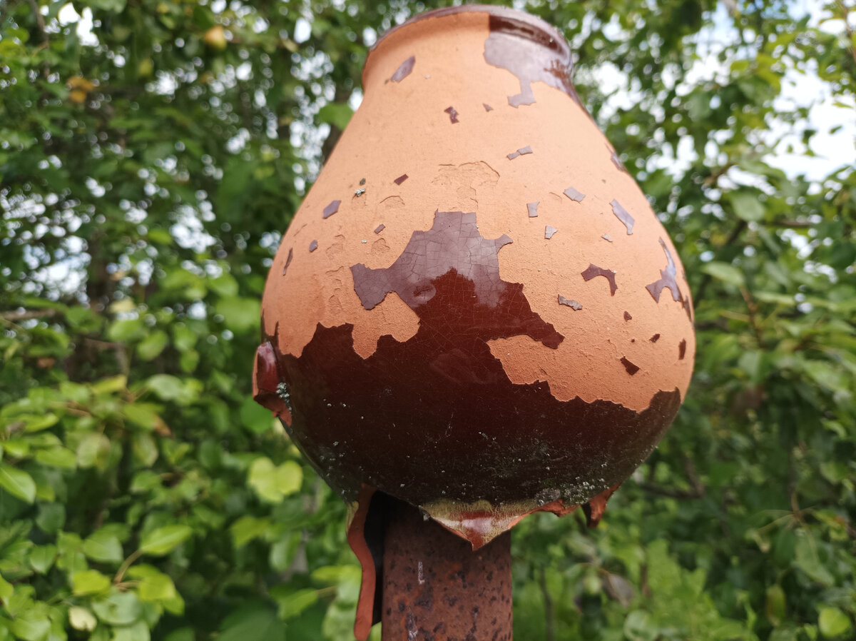 Негреческая амфора