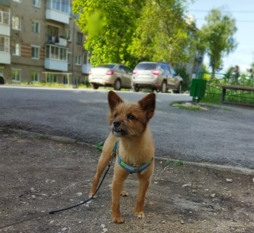 До последнего момента надеялся , что мама Вера возьмёт меня с собой.