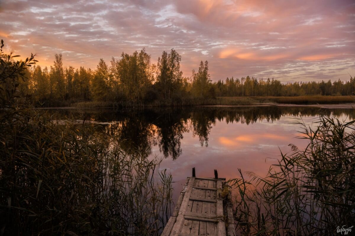 Тульский фотограф Илья Гарбузов