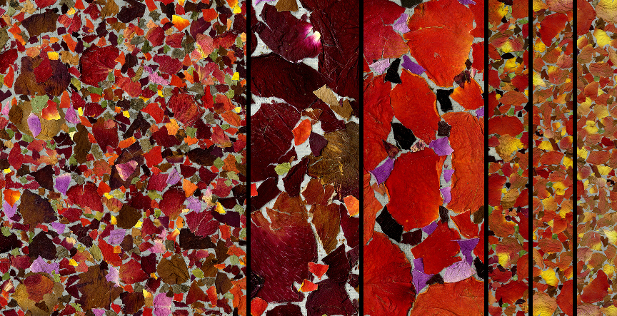 Источник: сайт ЦМШ. Права на коллажи принадлежат Михаилу Шемякину