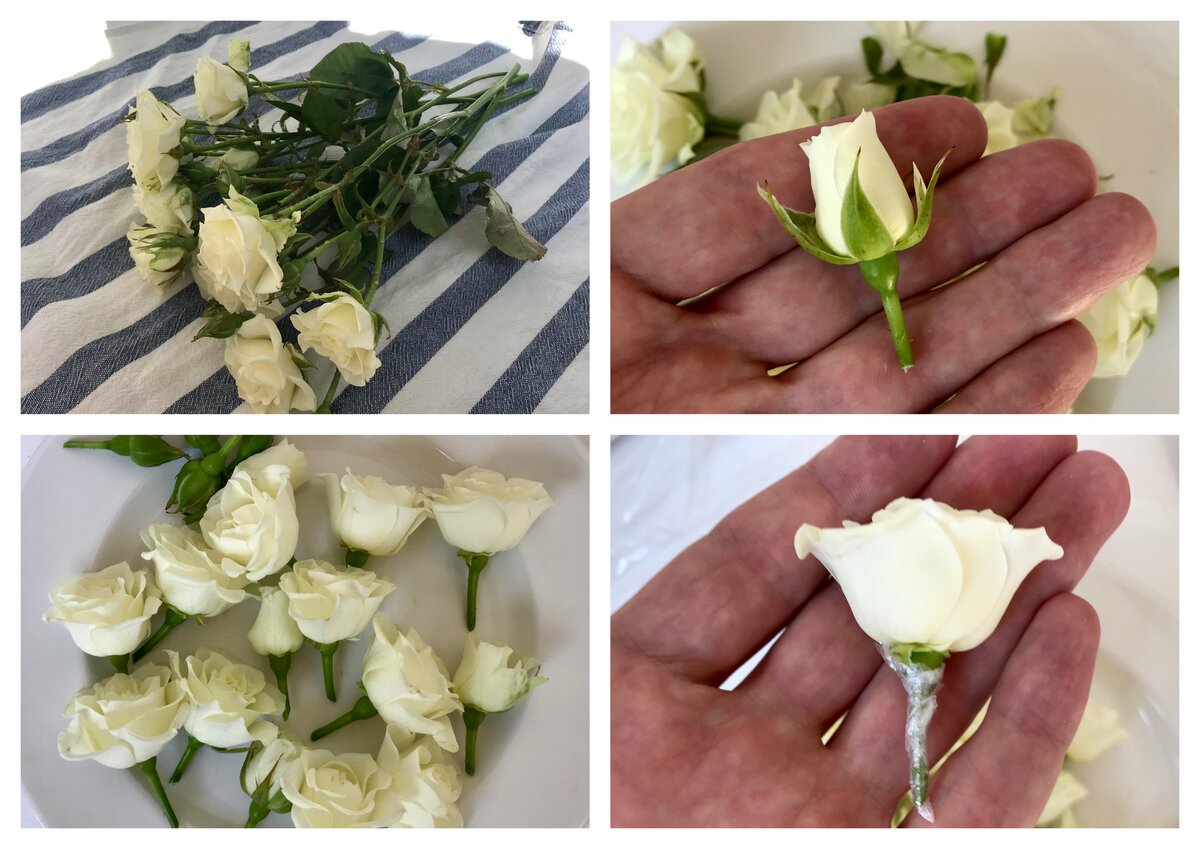 Все бутоны тщательно отобраны, обрезаны и обмотаны пищевой пленкой