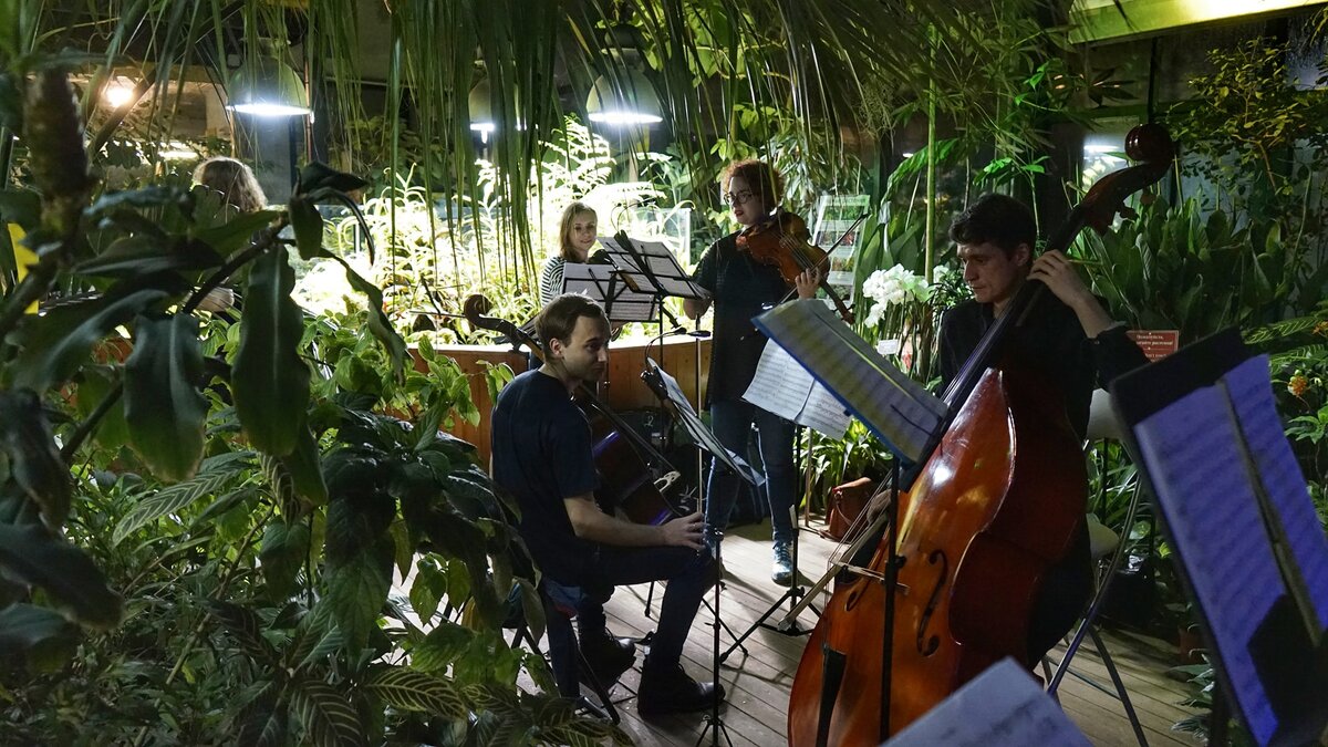 Simple Music Ensemble во время концерта «Тропический транс»