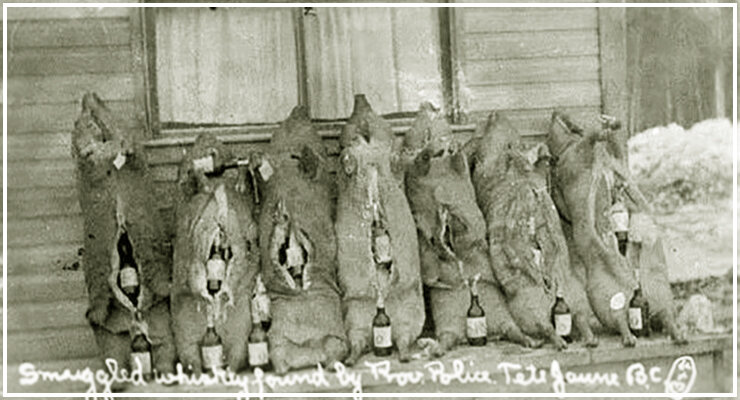 Контрабанду алкоголя набивали в туши свиней.