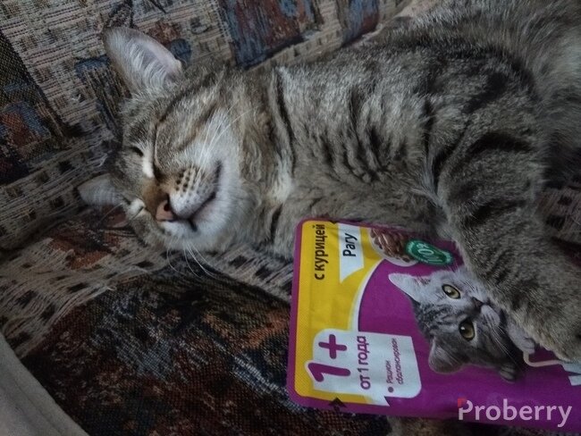 Источник фото: proberry.ru