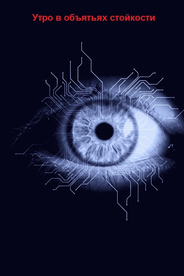 Утро в объятьях стойкости