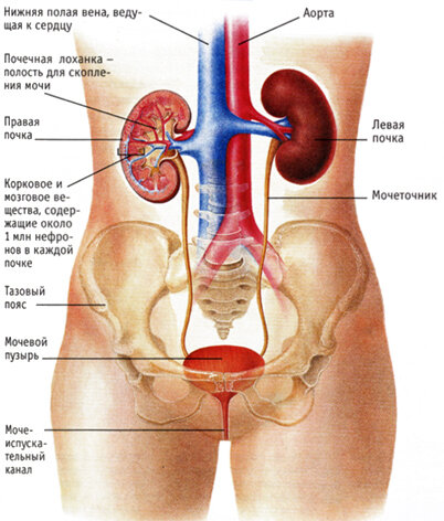 Пиелоэктазия