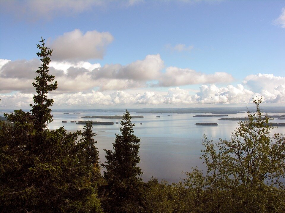 Koli Финляндия горнолыжный курорт